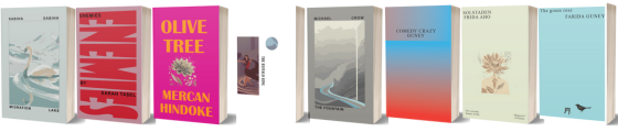 _book cover designs diana guney _book cover designs diana guney